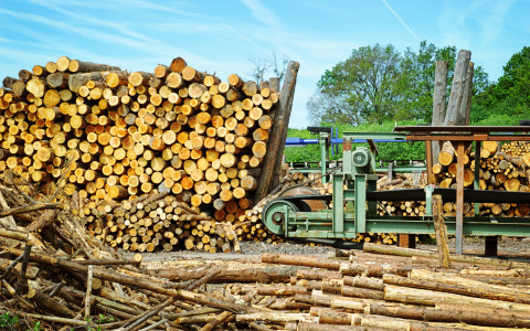 Logging and woodworking industry