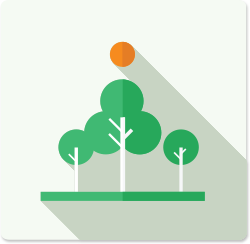 Continuous improvement and innovations