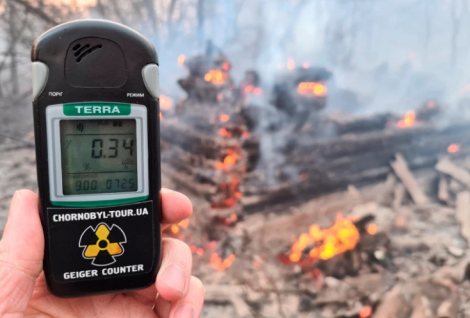 NEW YORK POST refers to ECOTEST TM dosimeter measurement results